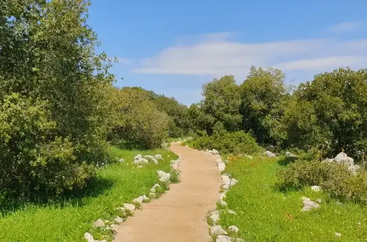 Ajloun Forest Reserve