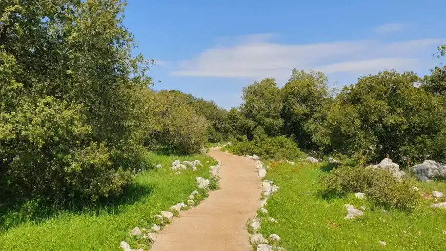 Ajloun Forest Reserve