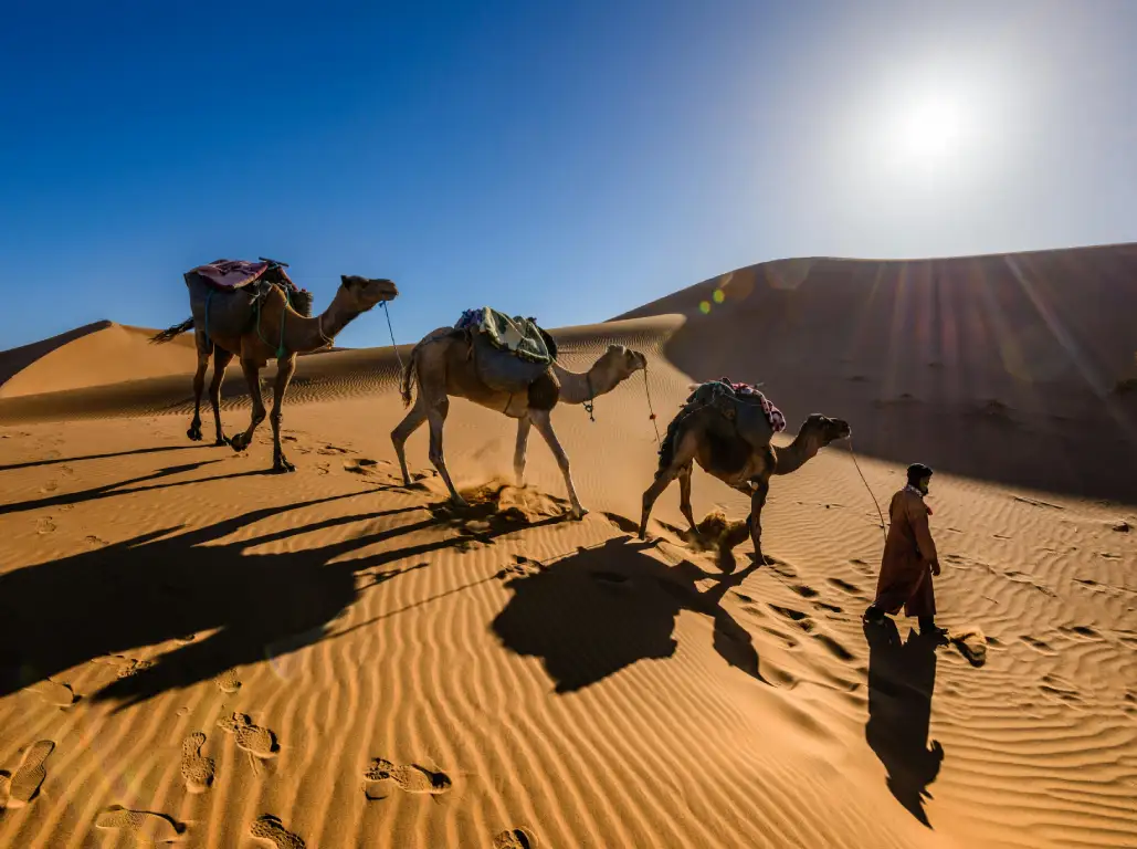 Marrakech, Zagora & Desert Tour – 8 Days Morocco