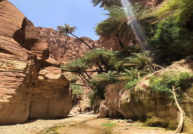 Wadi Bin Hammad