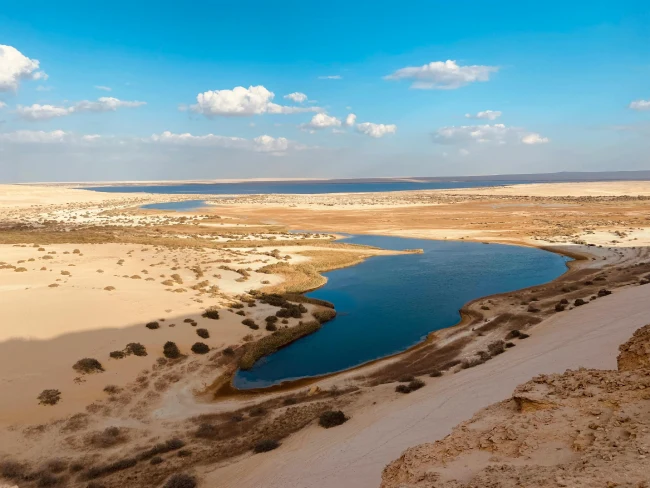 Wadi El Hitan