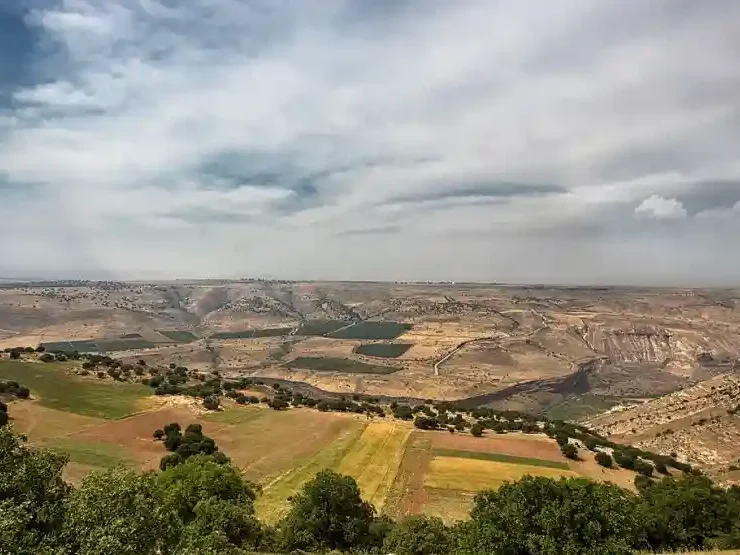 Anything else not mentioned