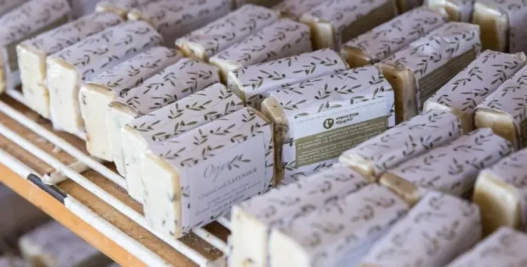 Ajloun Forest Reserve