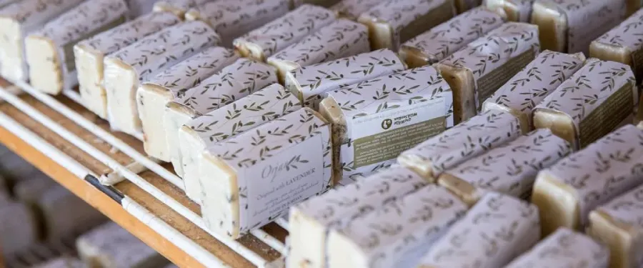 Ajloun Forest Reserve