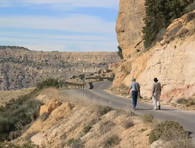 Dana Biosphere Reserve