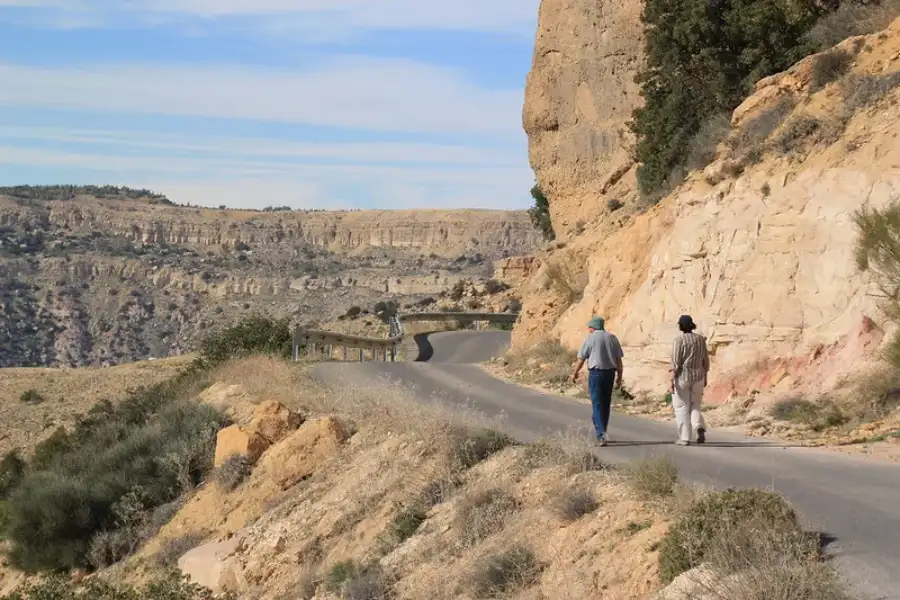 Dana Biosphere Reserve