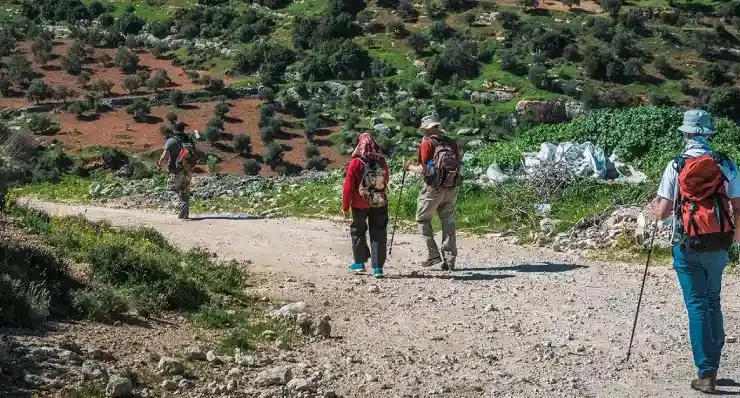 Hiking The Prophet's Trail