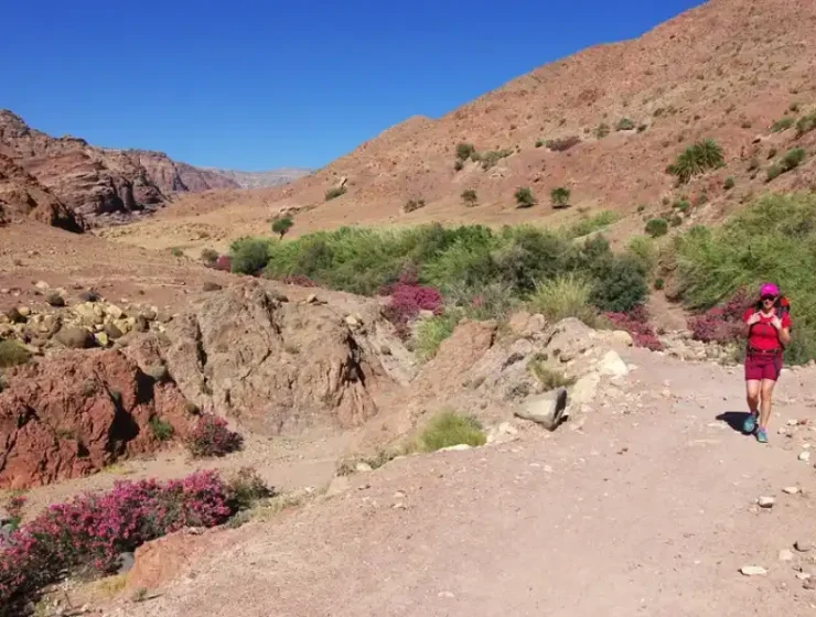 Hiking Wadi Dathneh Trail