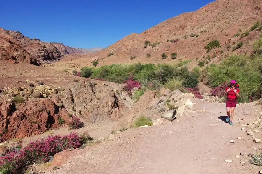 Hiking Wadi Dathneh Trail