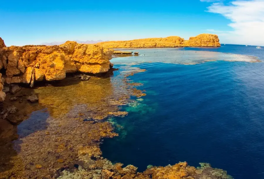 Ras Mohammed Snorkeling Sharm El Sheikh
