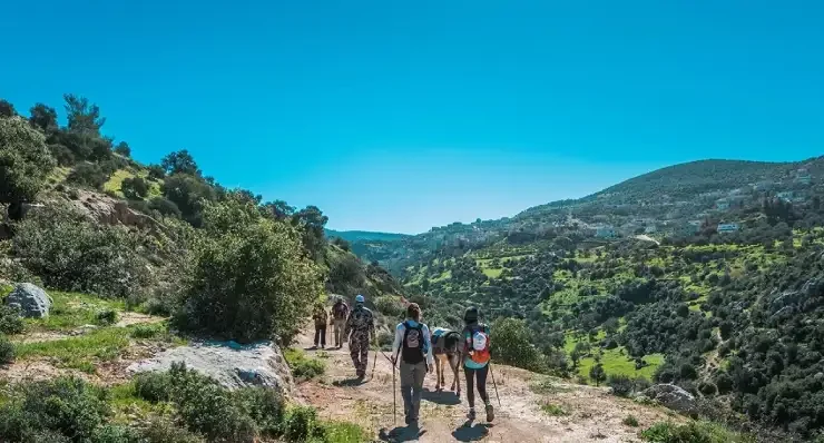 hiking at rock rose trail
