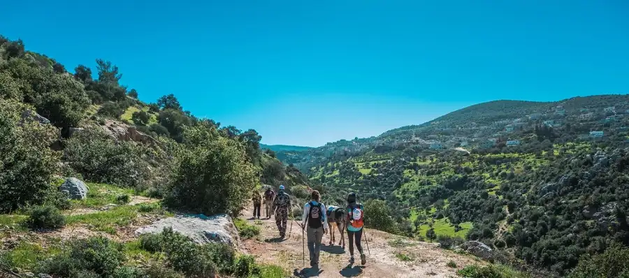 hiking at rock rose trail