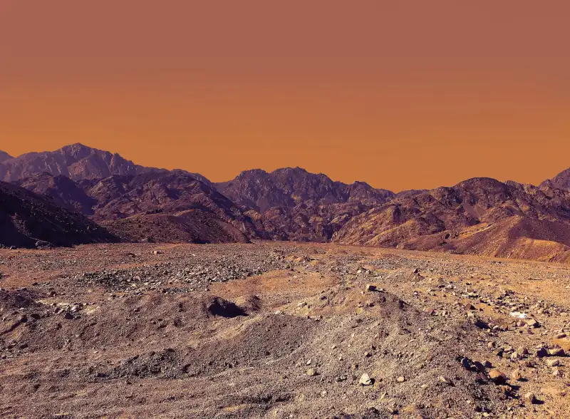 Saint Catherine Protectorate