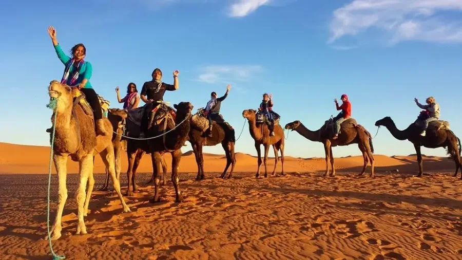 Camel Trekking Sahara Morocco