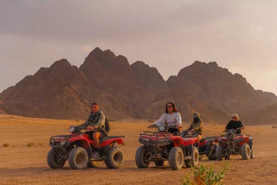 Desert Adventures Beyond the Beach