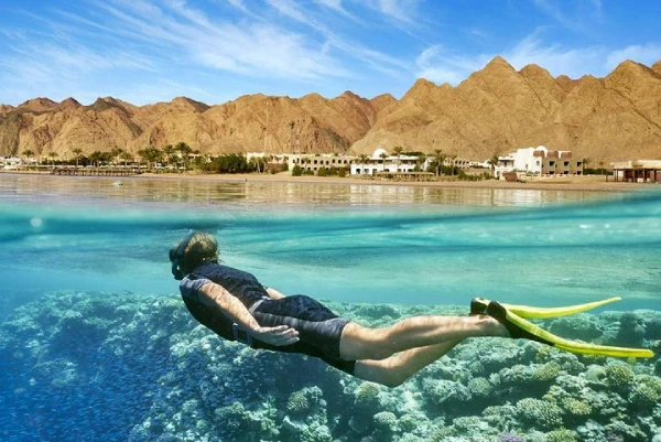 best diving destinations