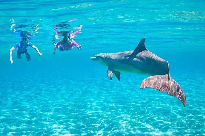 diving-in-ain-sokhna