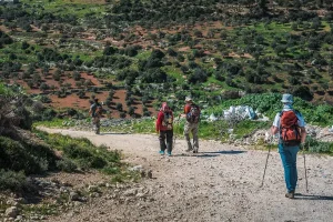 Hiking at Ajloun Castle Trail: Trek Through Jordan's Ancient Highlands