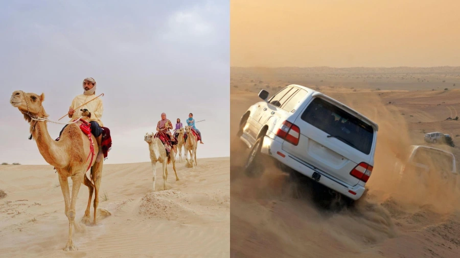 Dubai Desert Safari